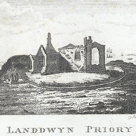 What is St Dwynwens Day?