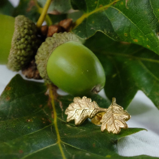 The Joy of Oak Trees