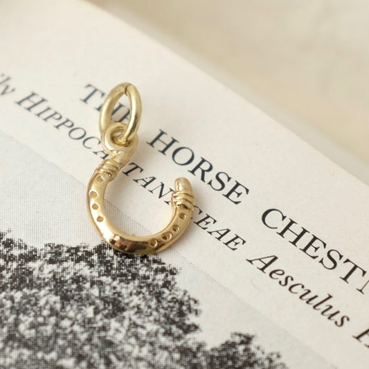 Solid Gold Horseshoe by Joy Everley