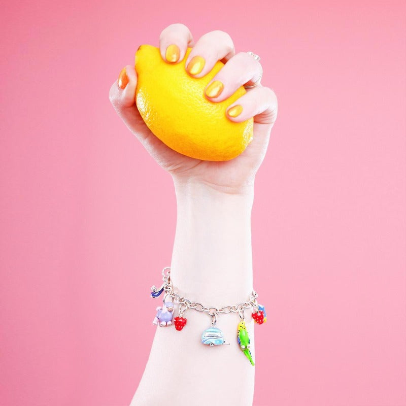 Enamelled Silver Suburban Charm Bracelet