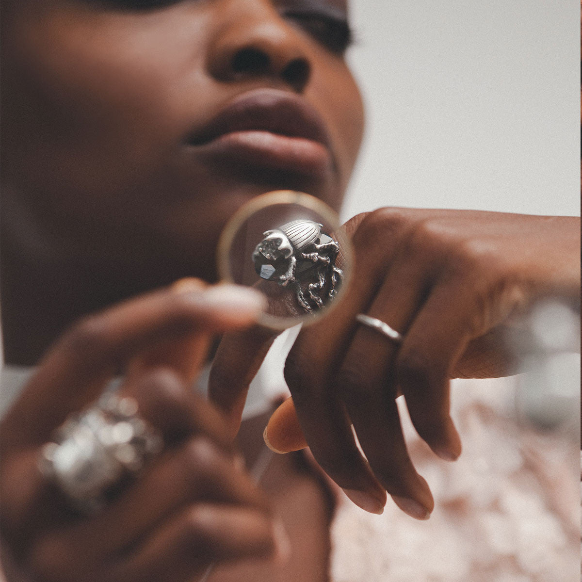 Entomology Jewellery Model