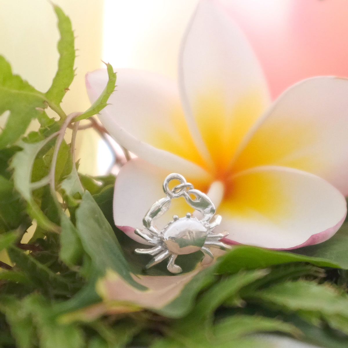 Silver crab charm
