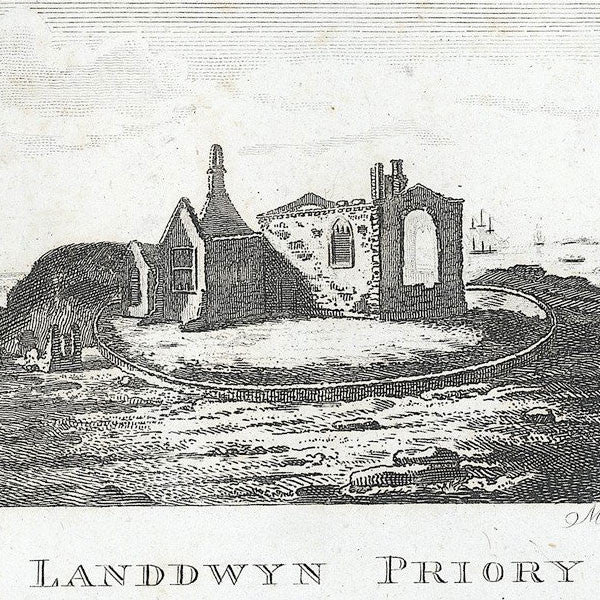 What is St Dwynwens Day?