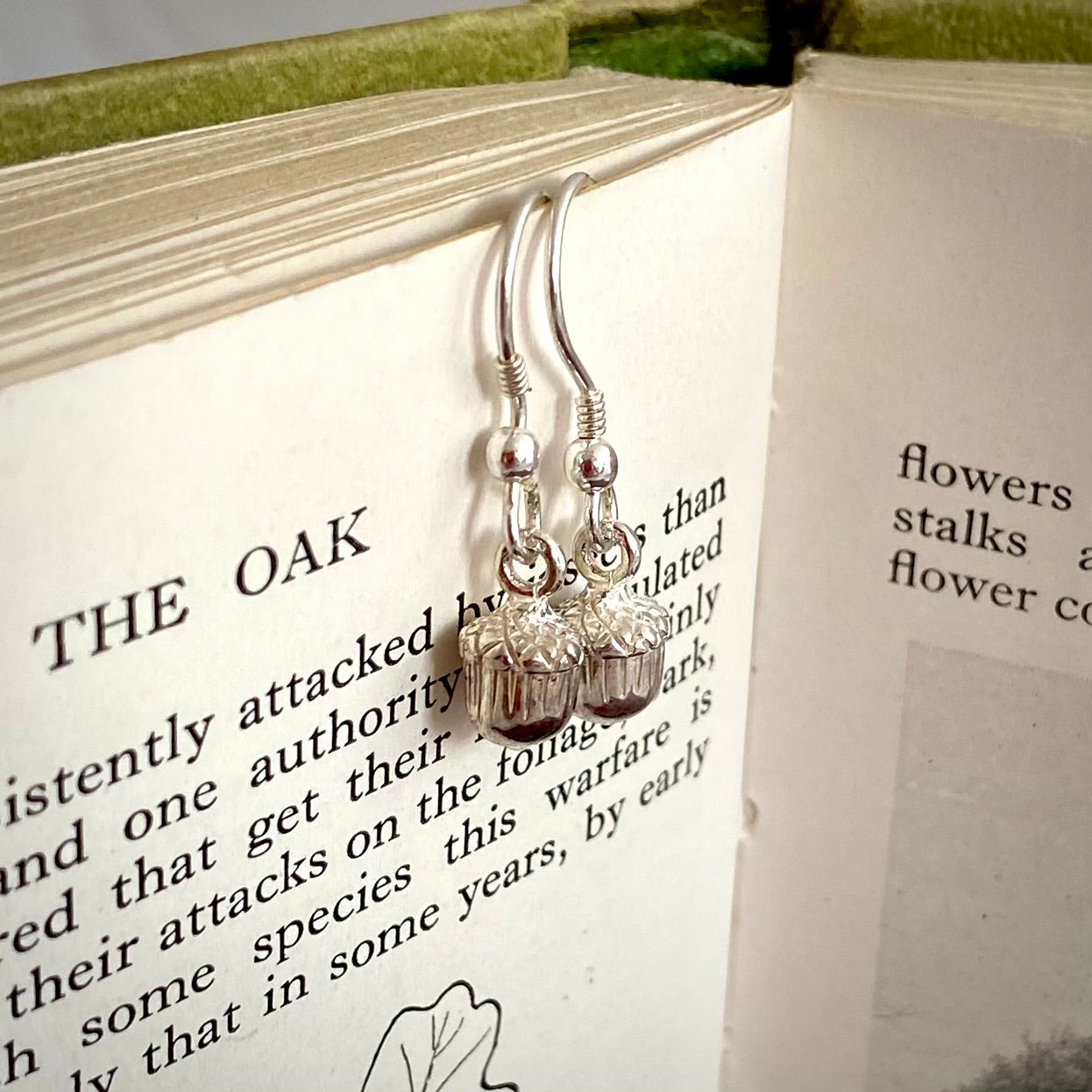 Silver Tiny Acorn Earrings by Joy Everley