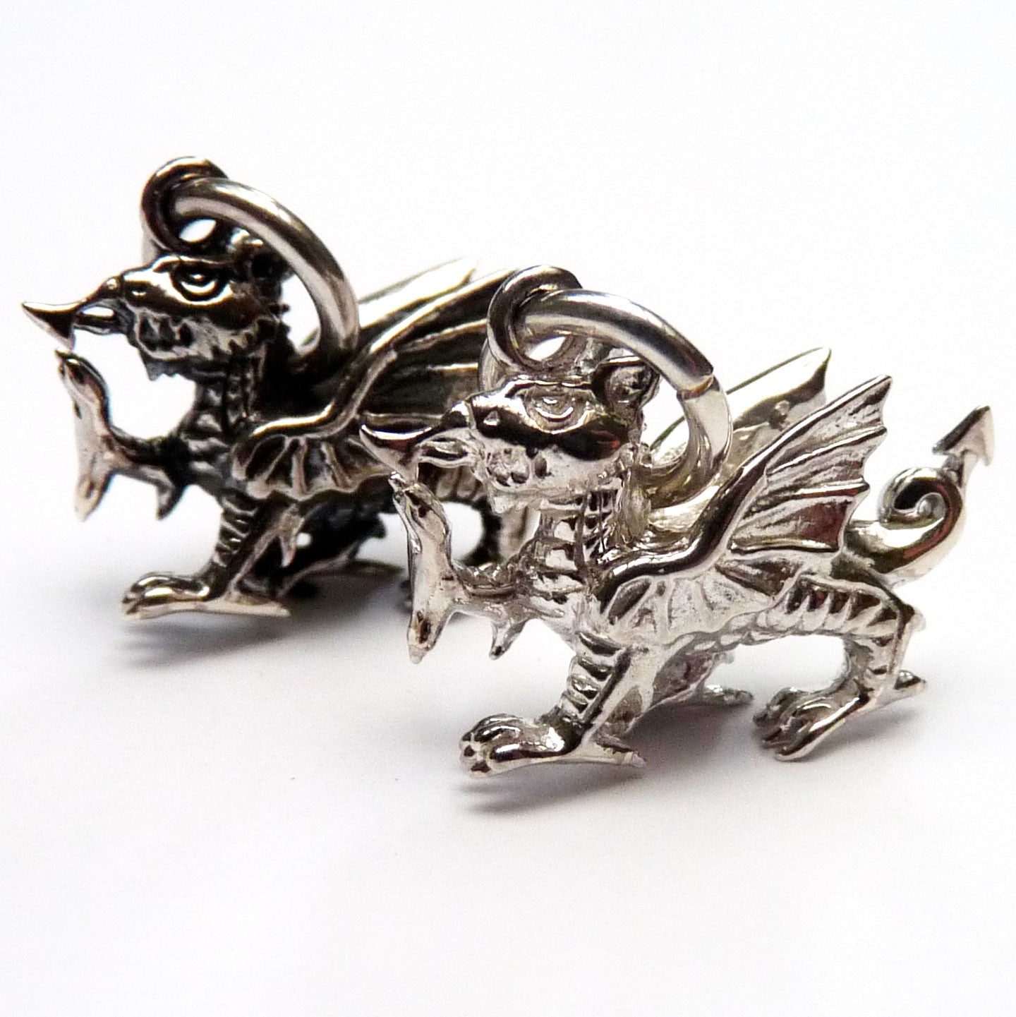 Silver Dragon Charms