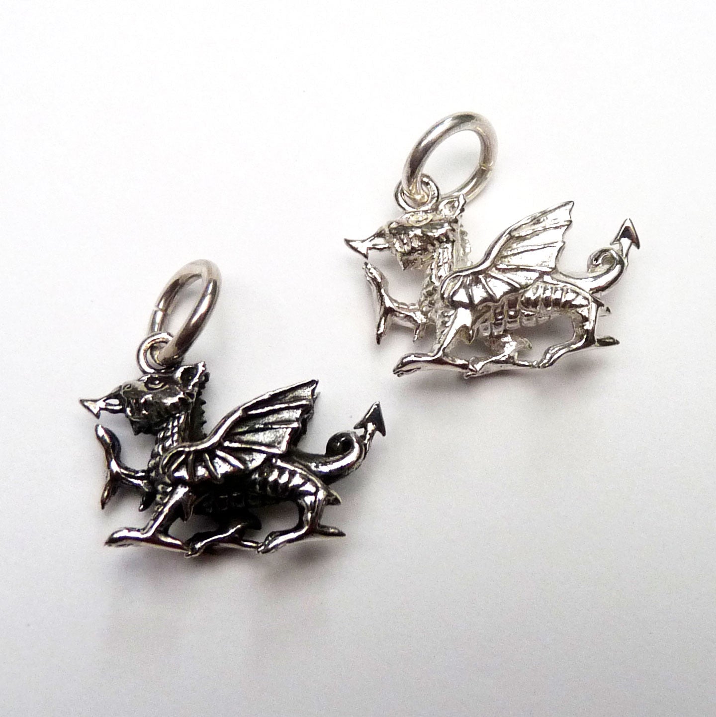 Silver Dragons Charm