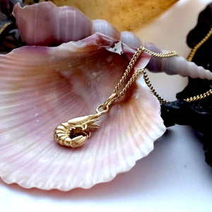 Solid Gold Shrimp by Joy Everley