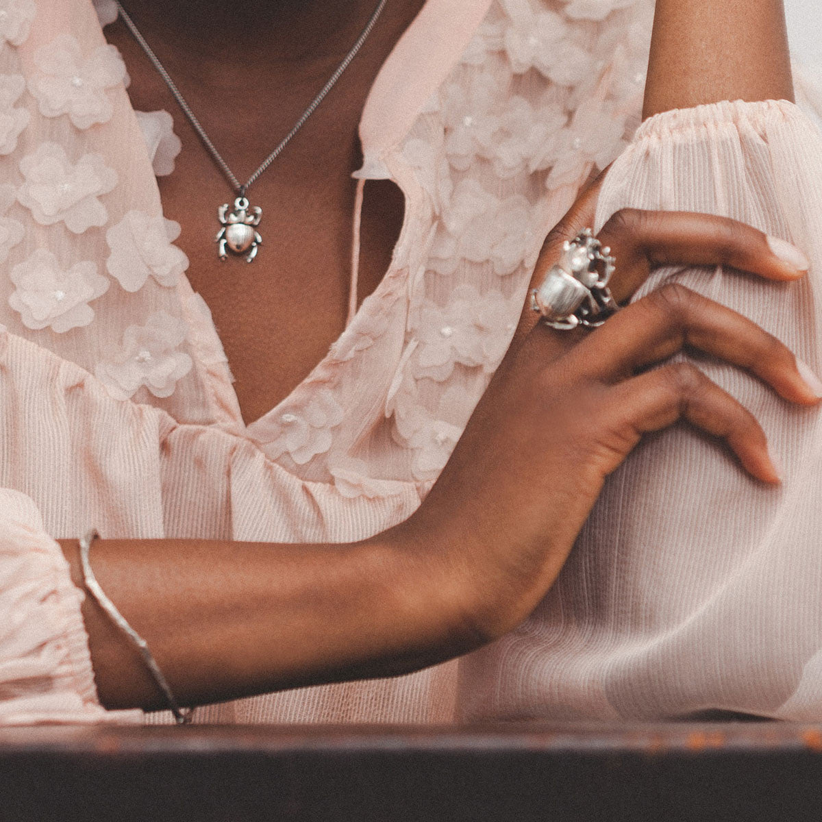 Entomology Jewellery Model