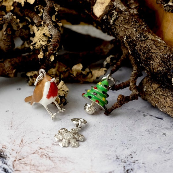 Robin Redbreast Silver Pendant by Joy Everley