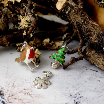 Robin Redbreast Silver Pendant by Joy Everley