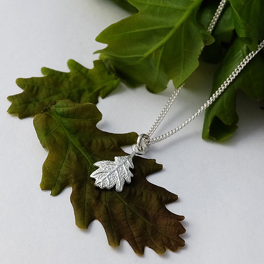 Silver Oak Leaf by Joy Everley