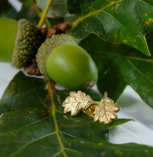 Gold Oak Leaf Ear Studs - Joy Everley Fine Jewellers, London