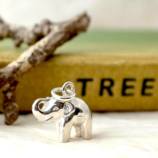 Lucky Elephant Silver Charm by Joy Everley