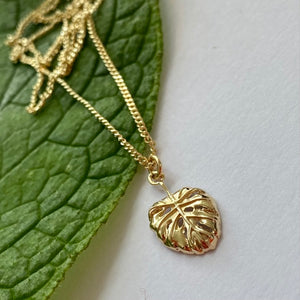 Solid Gold Cheese Plant Leaf by Joy Everley